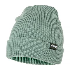 Шапка JEEP RIBBED TRICOT HAT WITH CUFF J22W (O102600-E854)
