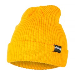 Шапка JEEP RIBBED TRICOT HAT WITH CUFF J22W (O102600-Y247)