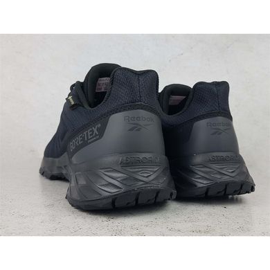 Кросівки чоловічі Reebok Astroride Trail Gtx 2.0 Gore-Tex (GW7011)