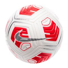Мяч Nike NK STRK TEAM 290G - SP21 (CU8062-100)